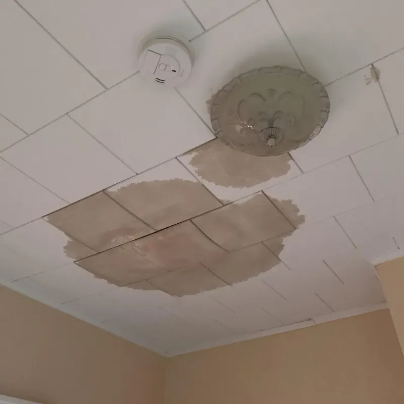 Ceiling Water Damage Repair in Grant County, WI