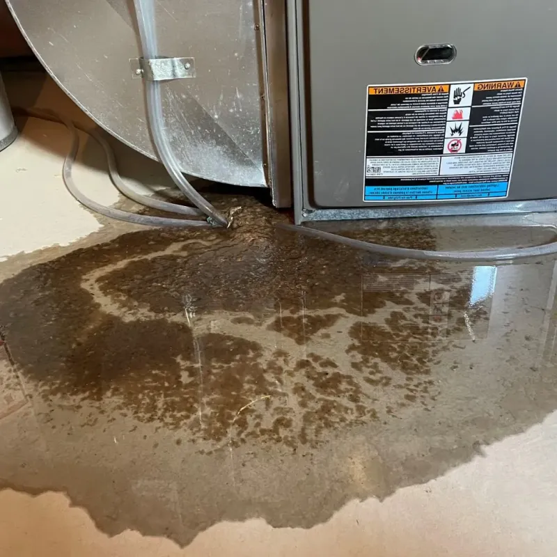 Pipe Burst and Leak Restoration in Grant County, WI