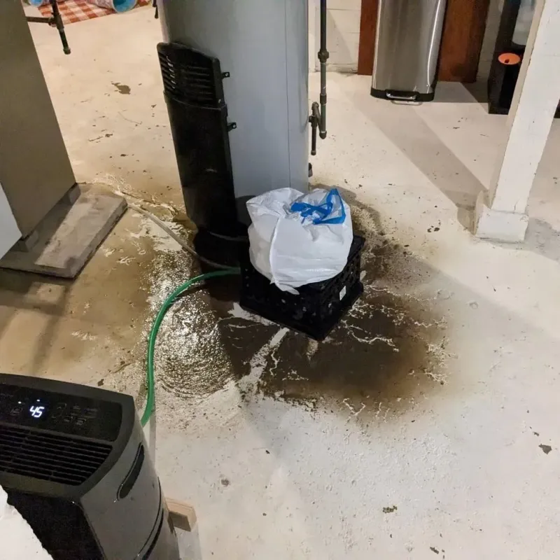 Sewage Backup Cleanup Service in Grant County, WI